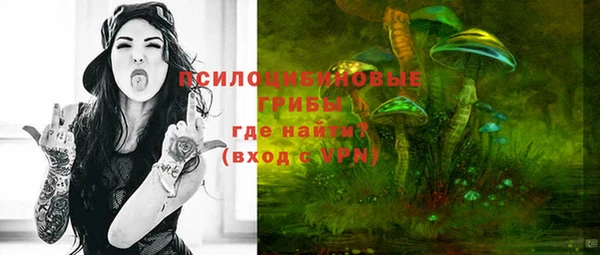 крисы Лабытнанги
