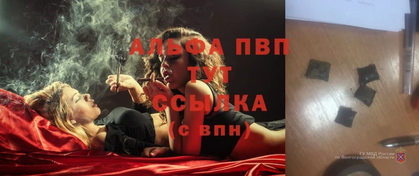 кокс Аша