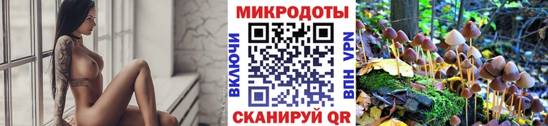 Галлюциногенные грибы GOLDEN TEACHER Магадан