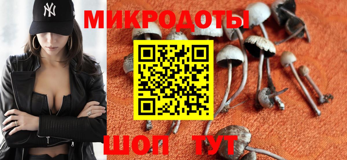Галлюциногенные грибы Cubensis  закладка  Вход с VPN  Магадан  Галлюциногенные грибы Psilocybine cubensis 